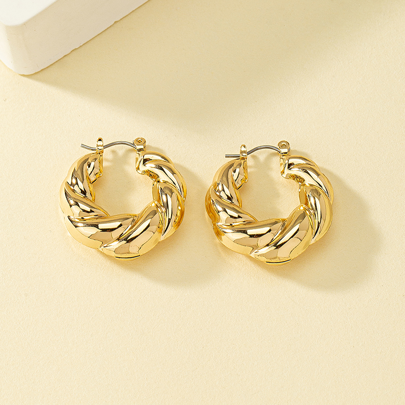 1 Pair Ins Style Circle Alloy Plating Women's Hoop Earrings display picture 3