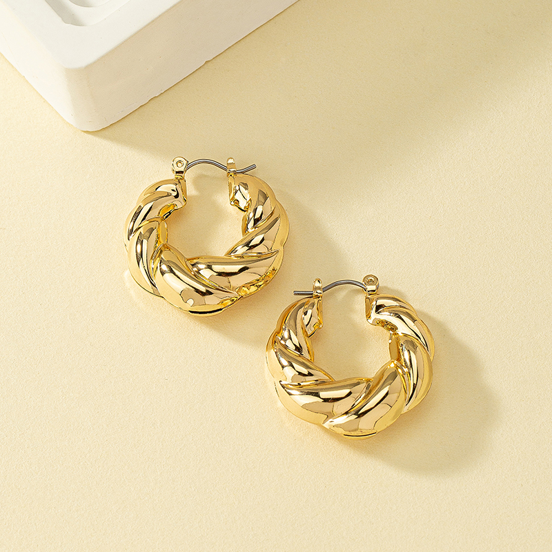 1 Pair Ins Style Circle Alloy Plating Women's Hoop Earrings display picture 4
