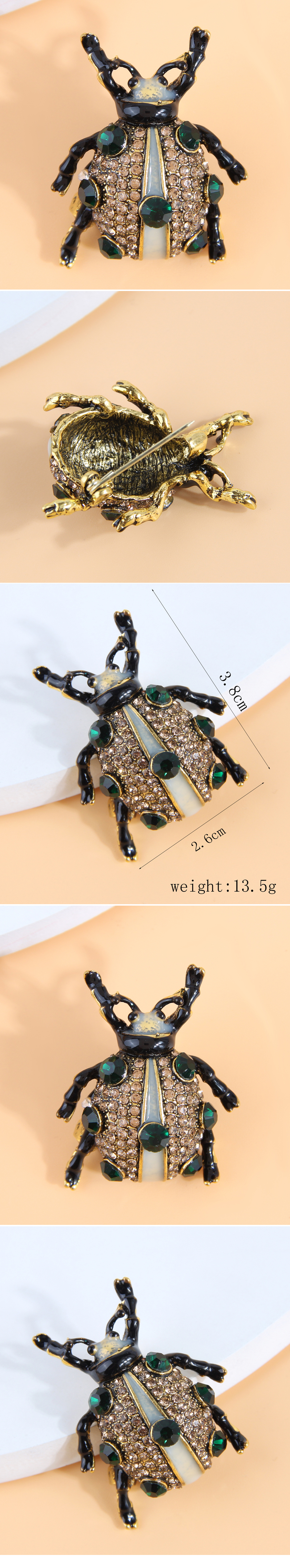 Vintage Style Insect Alloy Inlay Rhinestones Women's Brooches 1 Piece display picture 1