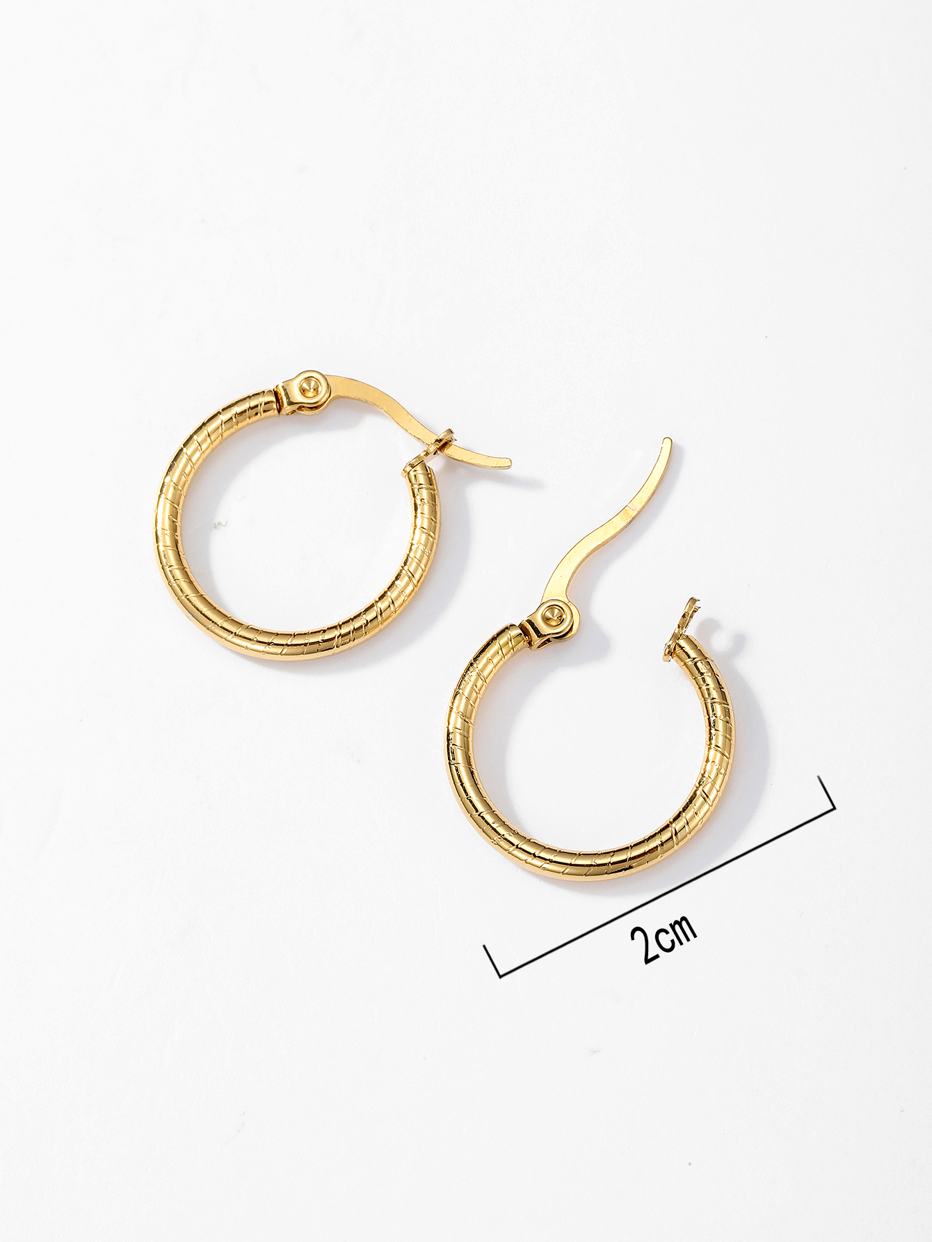 1 Pair Simple Style Circle Plating Stainless Steel 18K Gold Plated Hoop Earrings display picture 4