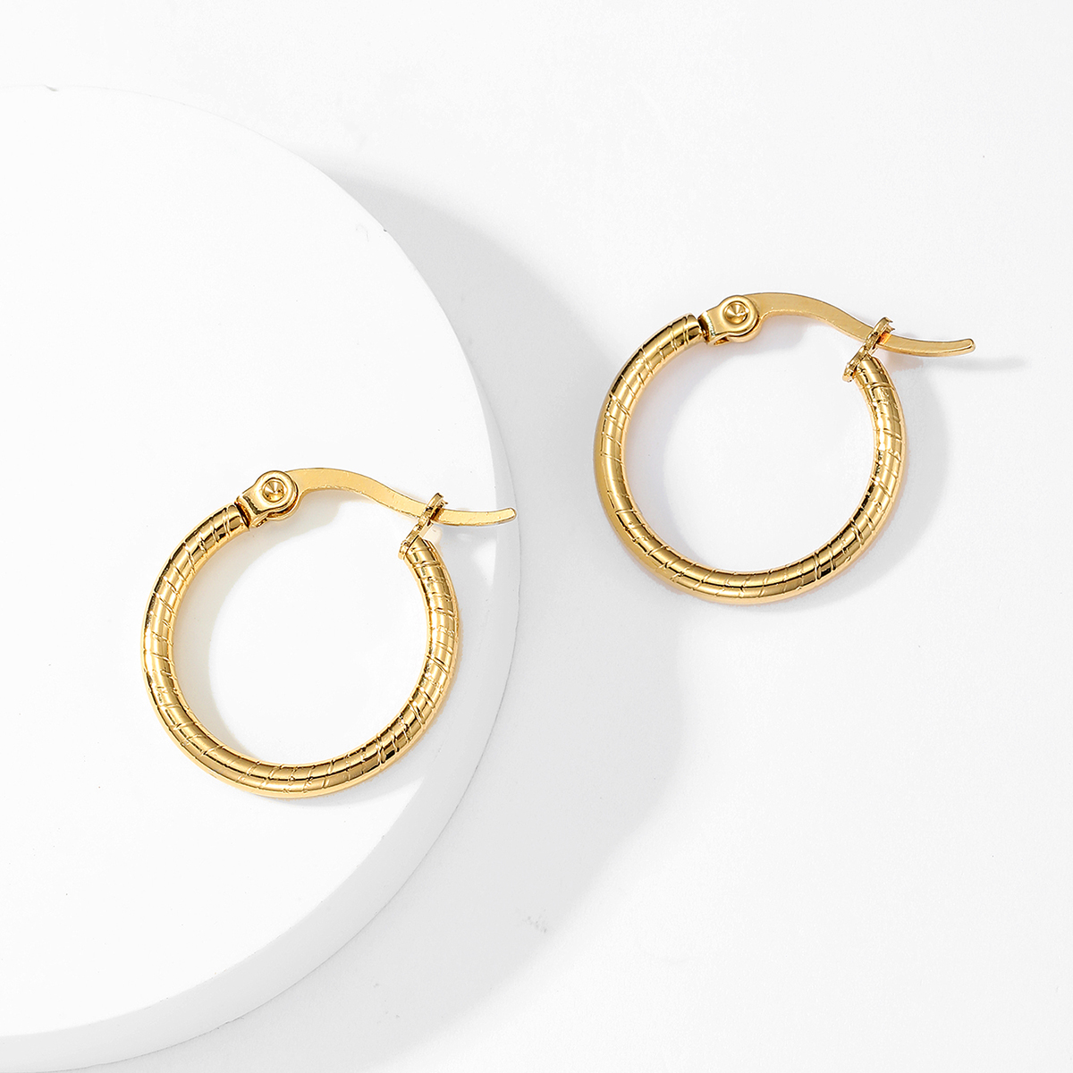 1 Pair Simple Style Circle Plating Stainless Steel 18K Gold Plated Hoop Earrings display picture 5
