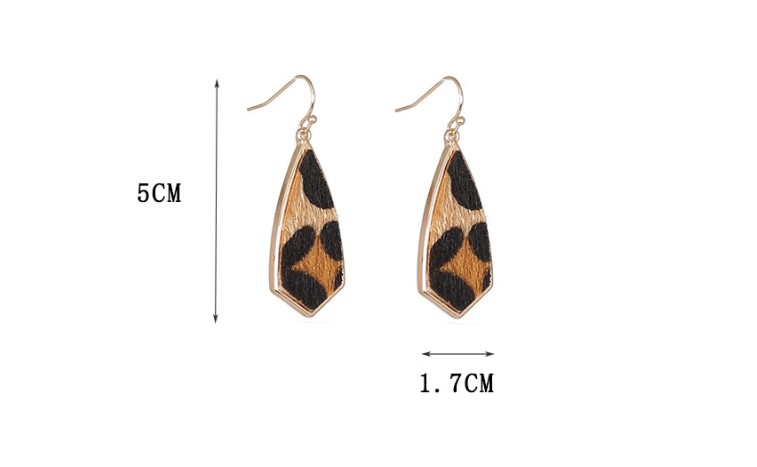 1 Pair Retro Polygon Leopard Inlay Alloy Pu Shell Drop Earrings display picture 5