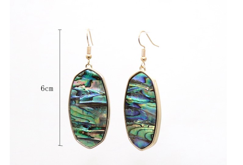 1 Pair Retro Oval Leopard Alloy Straw Inlay Pu Turquoise Shell Women's Drop Earrings display picture 5