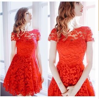 Women's A-line Skirt Lace Dress Basic Simple Style Round Neck Lace Short Sleeve Solid Color Above Knee Family Gathering Party Festival display picture 7