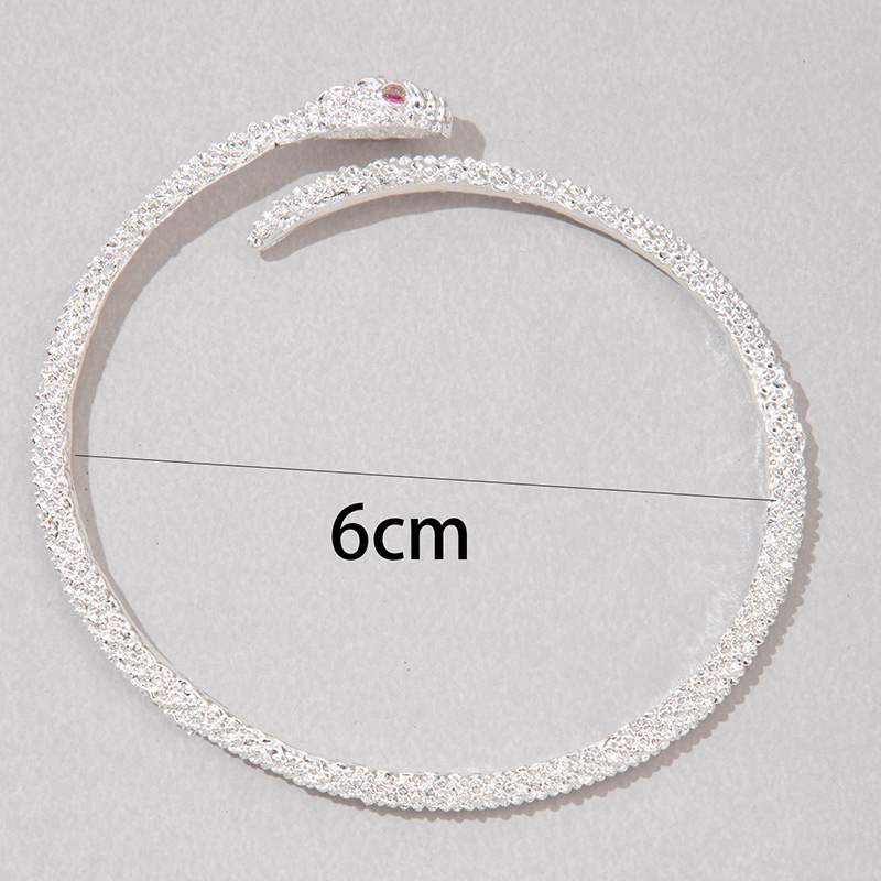 Simple Style Snake Alloy Inlay Rhinestones Women's Bangle display picture 4