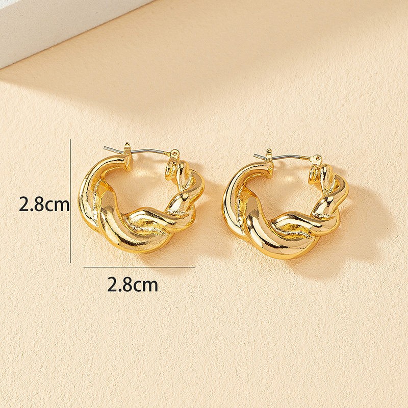 1 Pair Fashion Round Twist Alloy Plating Women's Hoop Earrings display picture 6