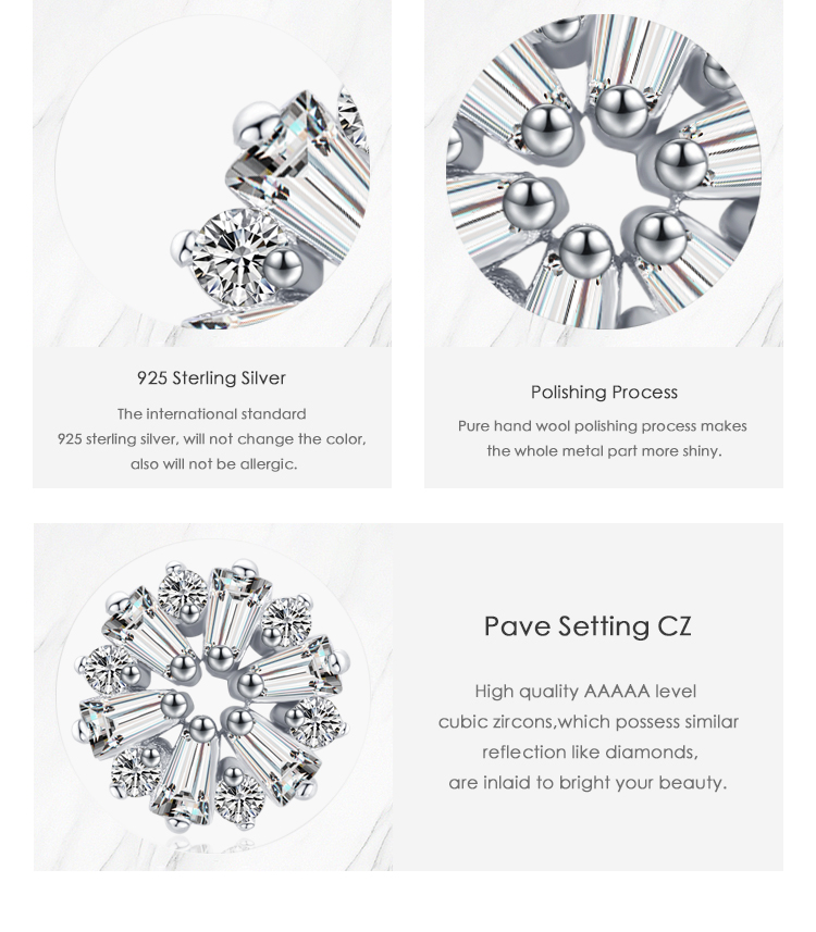 1 Pair Shiny Snowflake Sterling Silver Plating Inlay Zircon Rhodium Plated Ear Studs display picture 3