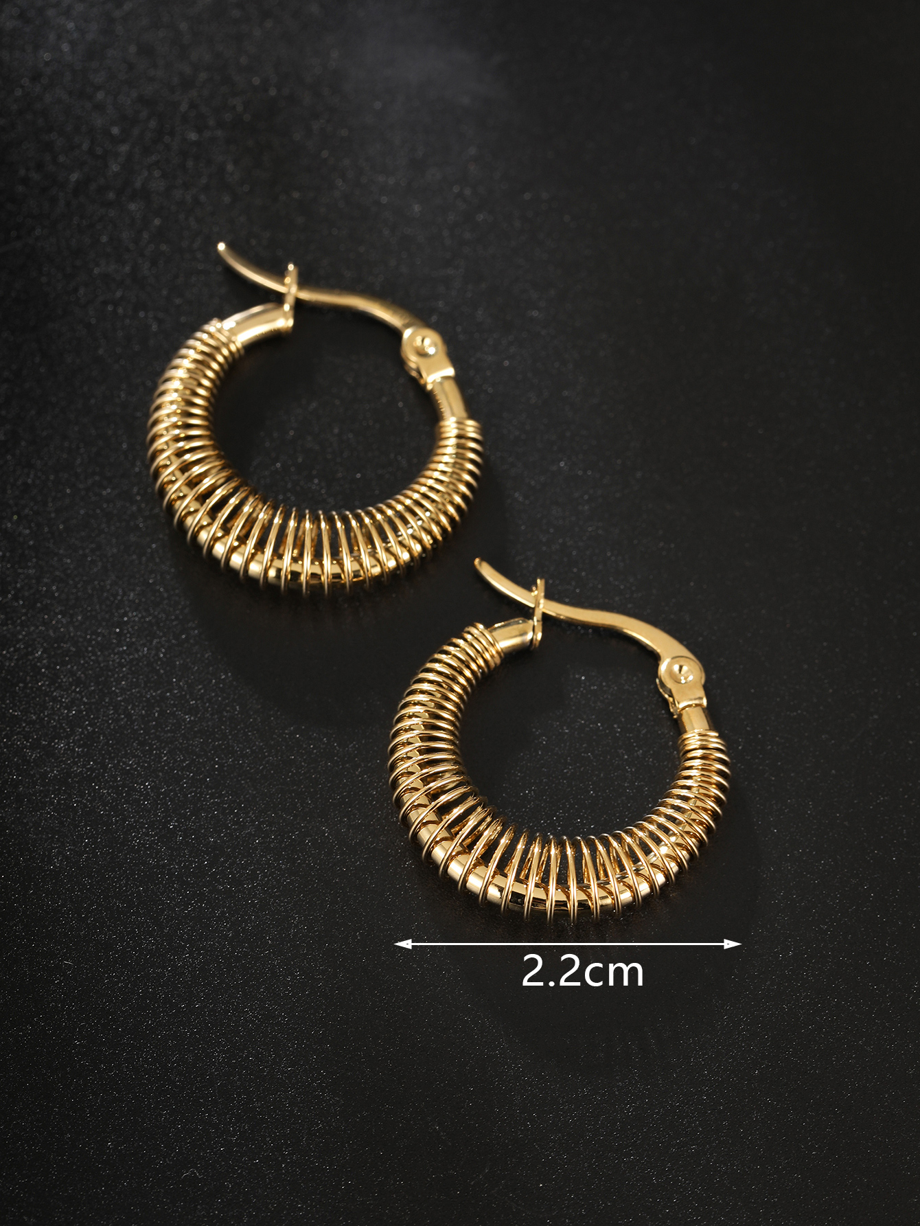 1 Pair Vintage Style Circle Plating Stainless Steel 18K Gold Plated Earrings display picture 6