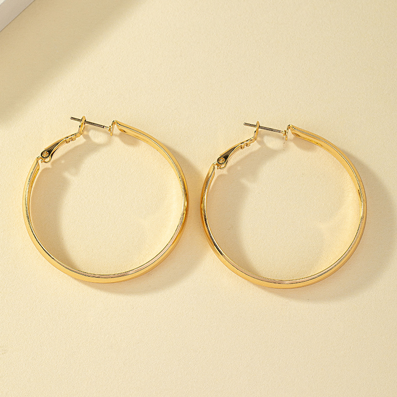 Exaggerated Simple Style Round Alloy Plating Women's Hoop Earrings display picture 4