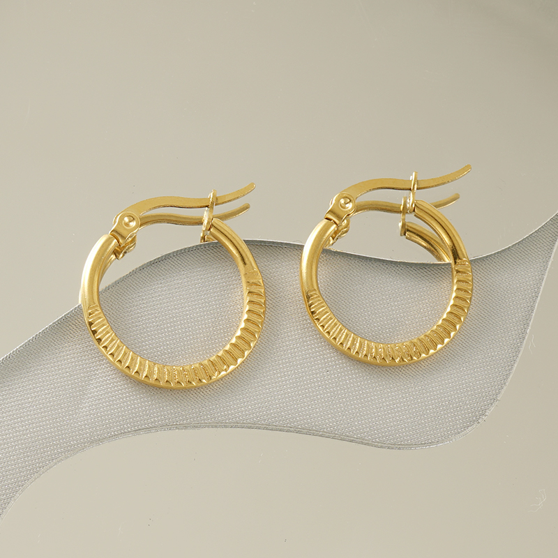 1 Pair Casual Simple Style Round Plating Stainless Steel Titanium Steel 18K Gold Plated Hoop Earrings display picture 1