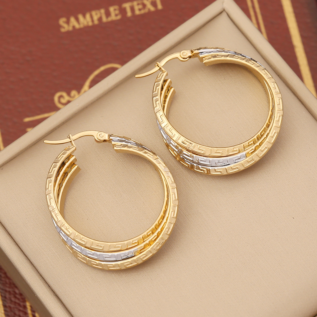 1 Paire Style Moderne Rond Placage Acier Inoxydable Plaqué Or 18K Des Boucles D'Oreilles display picture 7