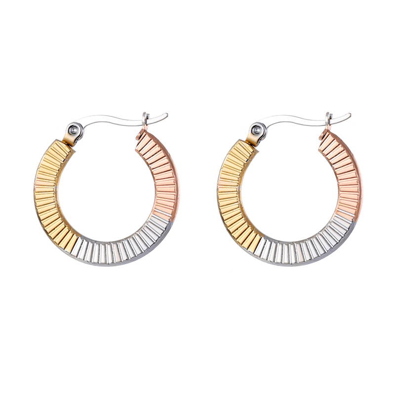 1 Pair Ins Style Geometric Stainless Steel Plating Earrings display picture 3