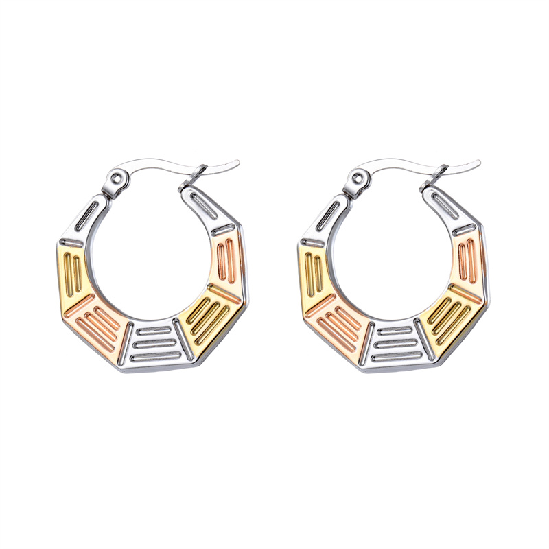 1 Pair Ins Style Geometric Stainless Steel Plating Earrings display picture 2