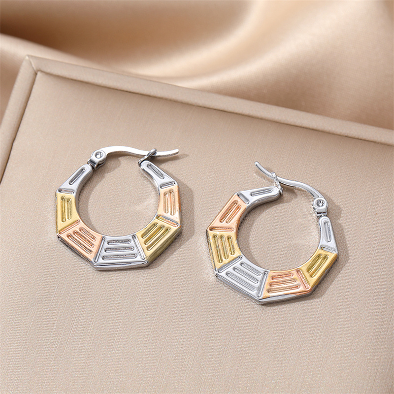 1 Pair Ins Style Geometric Stainless Steel Plating Earrings display picture 9