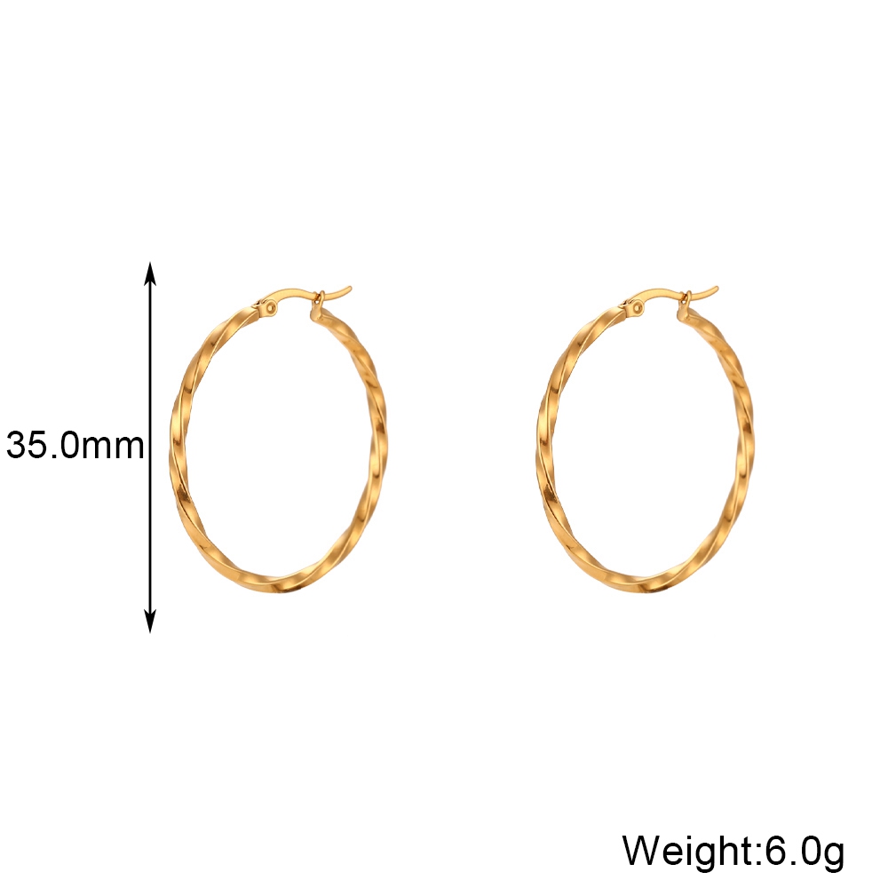 1 Pair Basic Vintage Style Classic Style Solid Color Plating Stainless Steel 18k Gold Plated Hoop Earrings display picture 2
