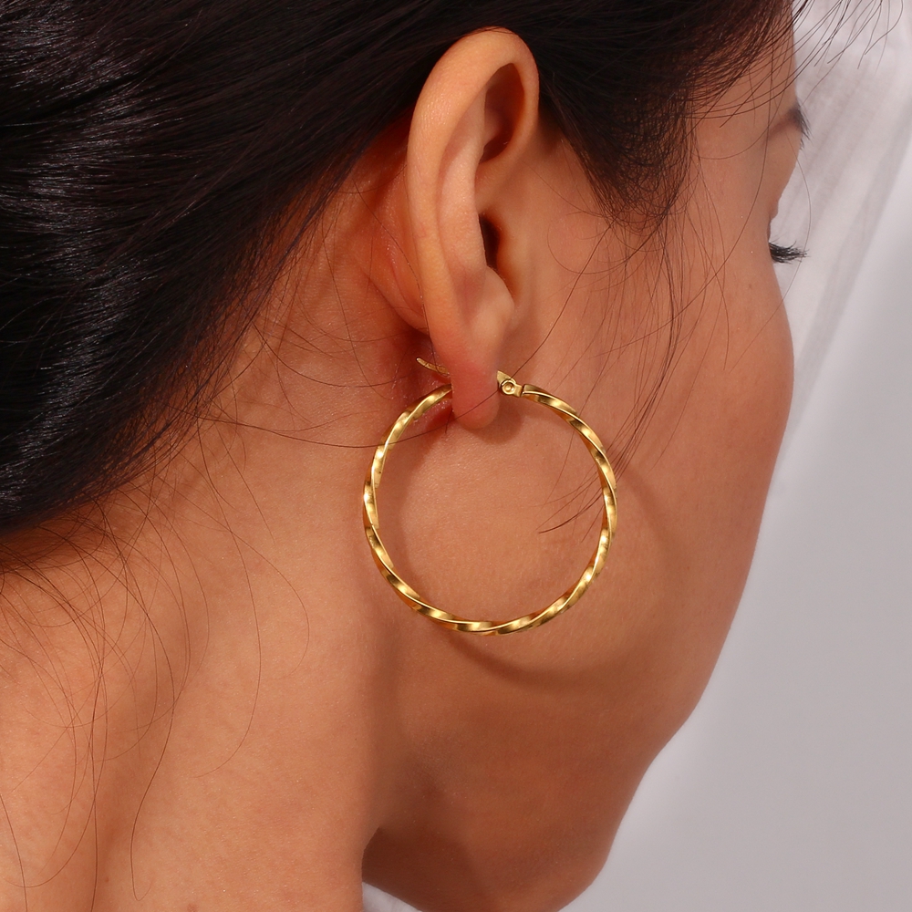 1 Pair Basic Vintage Style Classic Style Solid Color Plating Stainless Steel 18k Gold Plated Hoop Earrings display picture 3