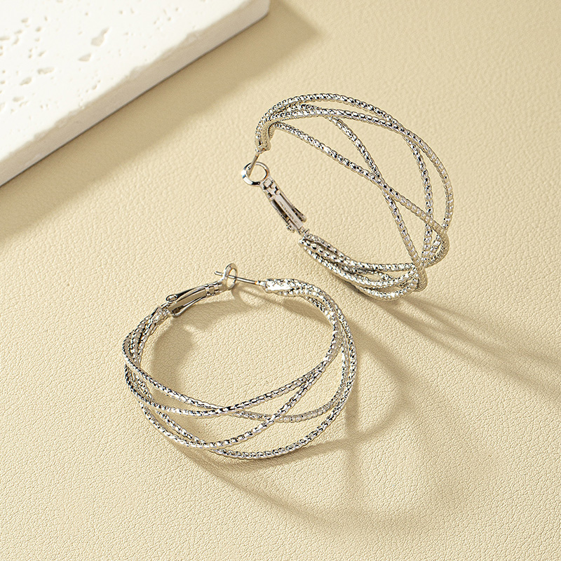 Modern Style Round Alloy Women's Hoop Earrings display picture 1