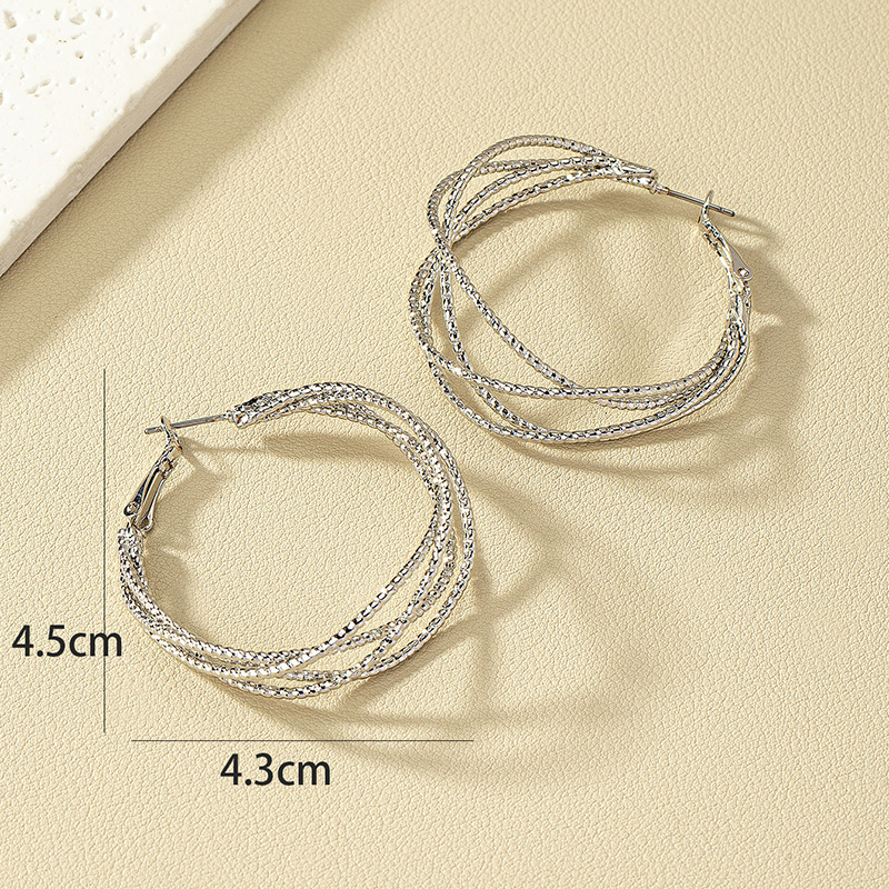 Modern Style Round Alloy Women's Hoop Earrings display picture 5