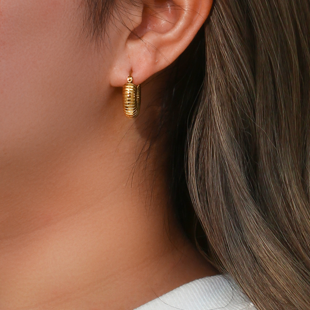 1 Pair Simple Style Solid Color Stainless Steel Plating 18k Gold Plated Hoop Earrings display picture 13