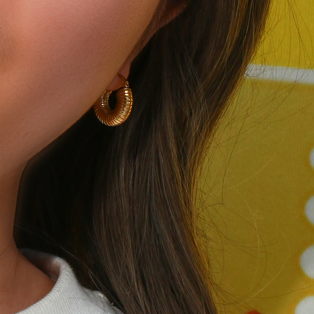 1 Paar Einfacher Stil Einfarbig Rostfreier Stahl Überzug 18 Karat Vergoldet Reif Ohrringe display picture 12