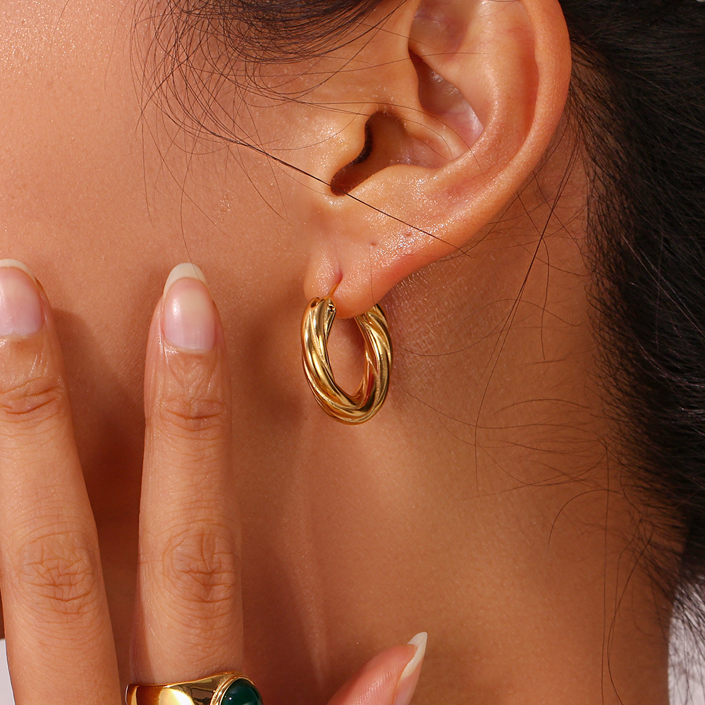 1 Pair Modern Style Simple Style Round Stainless Steel Plating 18k Gold Plated Hoop Earrings display picture 4