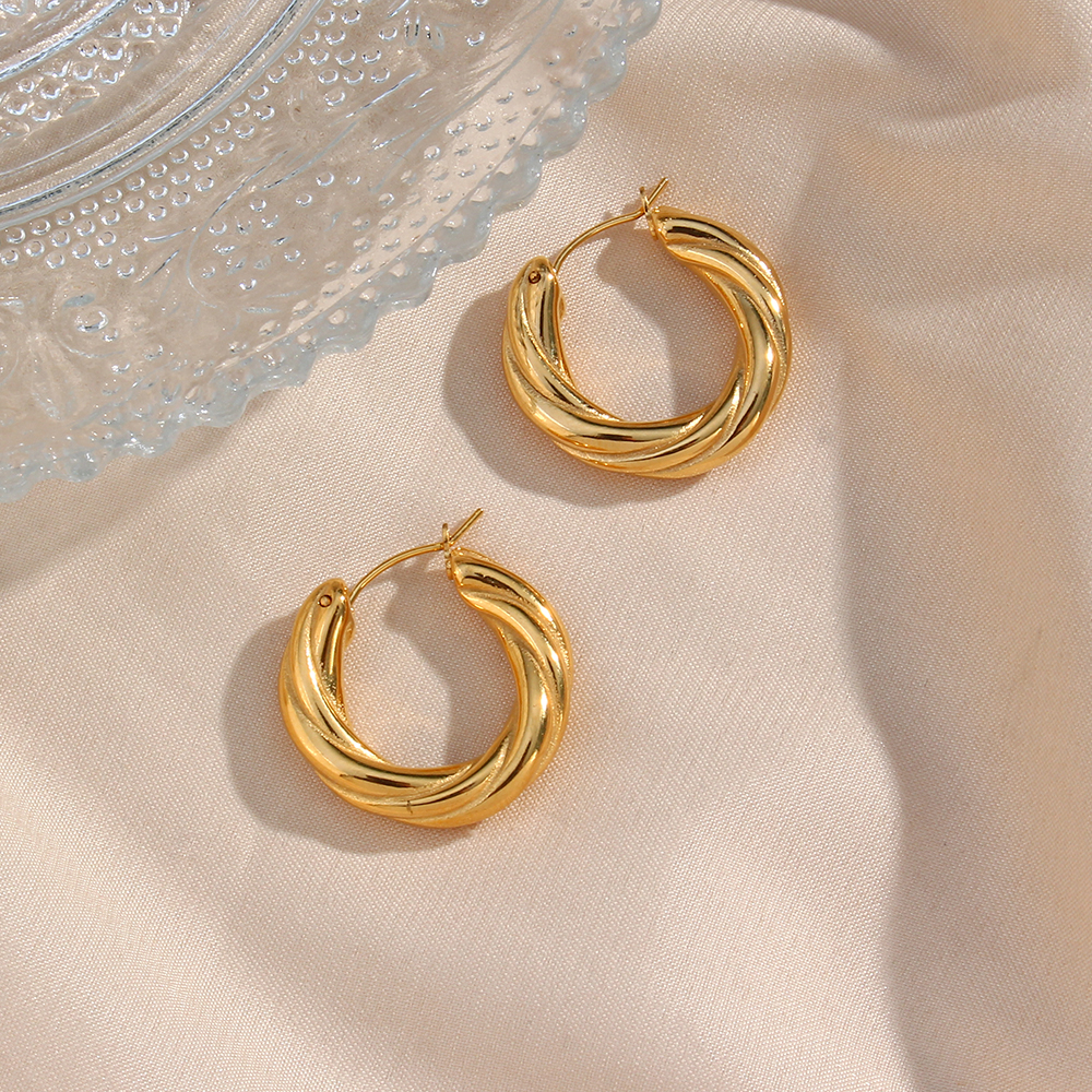 1 Pair Modern Style Simple Style Round Stainless Steel Plating 18k Gold Plated Hoop Earrings display picture 14