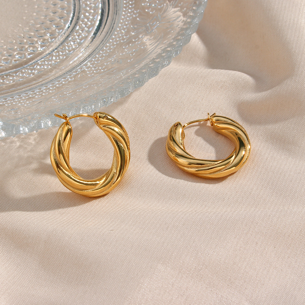 1 Pair Modern Style Simple Style Round Stainless Steel Plating 18k Gold Plated Hoop Earrings display picture 5