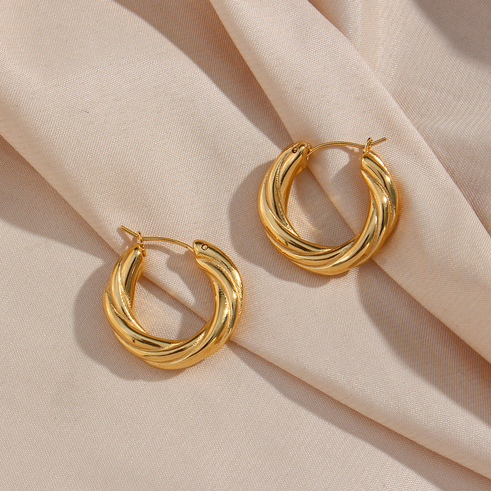 1 Pair Modern Style Simple Style Round Stainless Steel Plating 18k Gold Plated Hoop Earrings display picture 8
