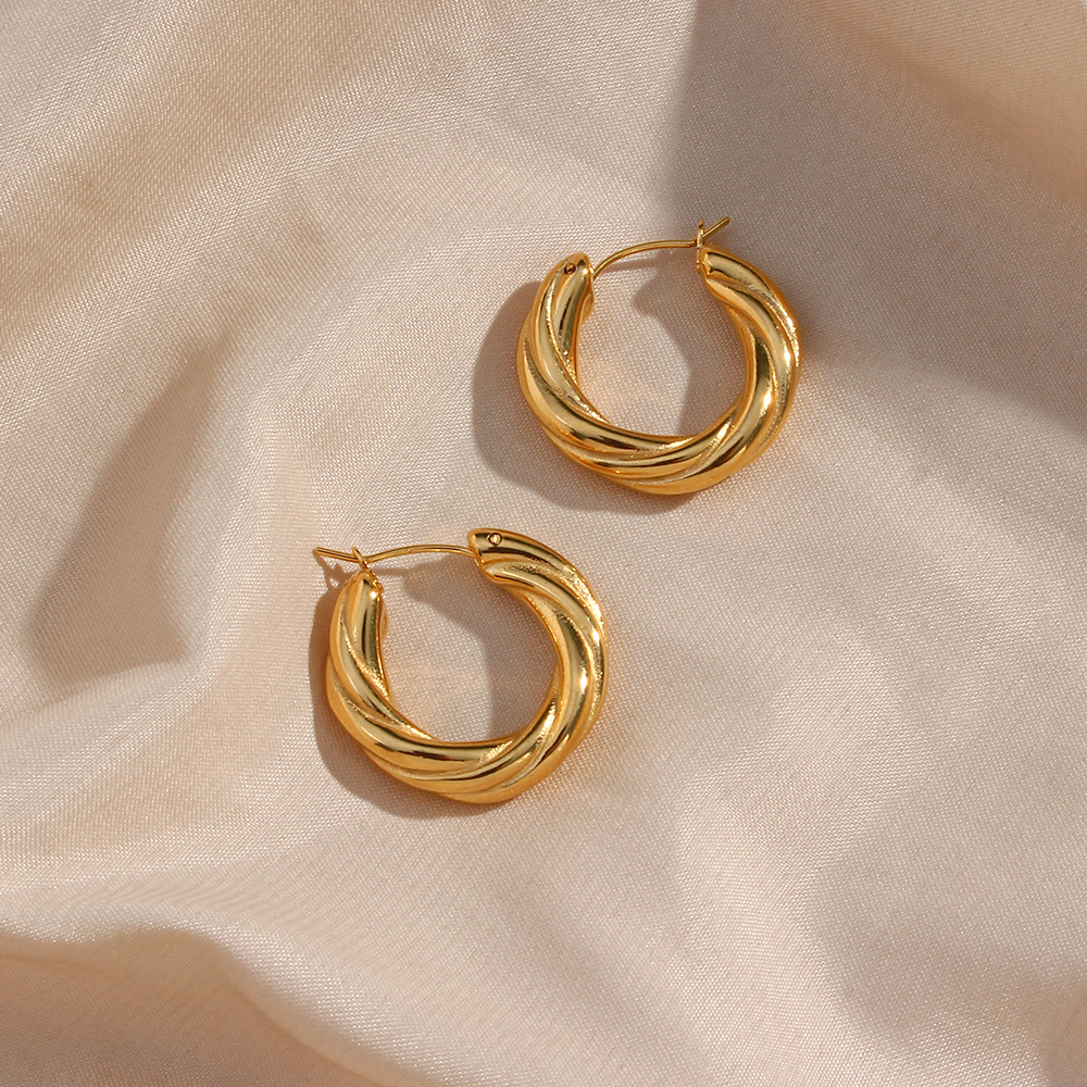 1 Pair Modern Style Simple Style Round Stainless Steel Plating 18k Gold Plated Hoop Earrings display picture 9
