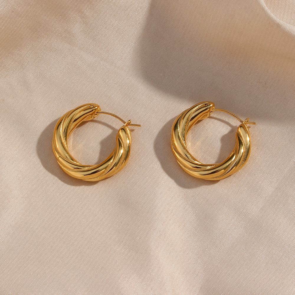 1 Pair Modern Style Simple Style Round Stainless Steel Plating 18k Gold Plated Hoop Earrings display picture 13