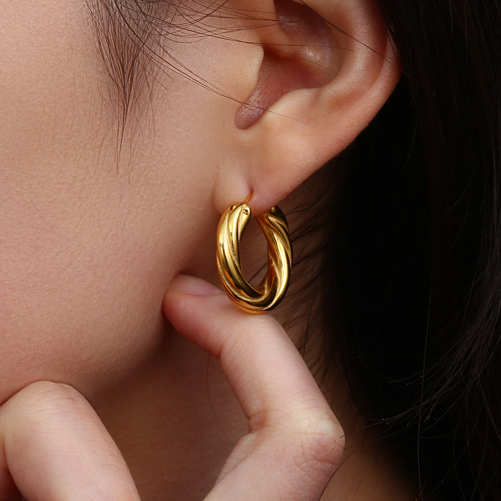 1 Pair Modern Style Simple Style Round Stainless Steel Plating 18k Gold Plated Hoop Earrings display picture 10
