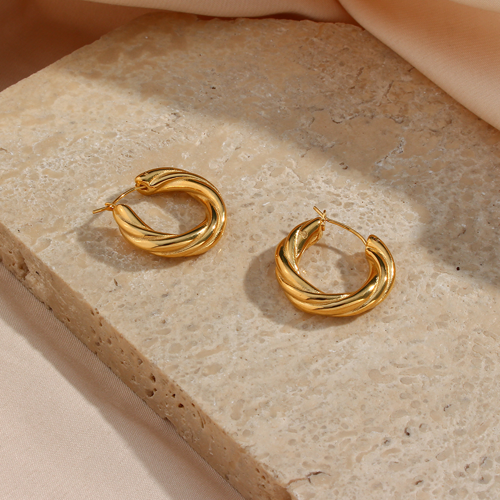 1 Pair Modern Style Simple Style Round Stainless Steel Plating 18k Gold Plated Hoop Earrings display picture 12