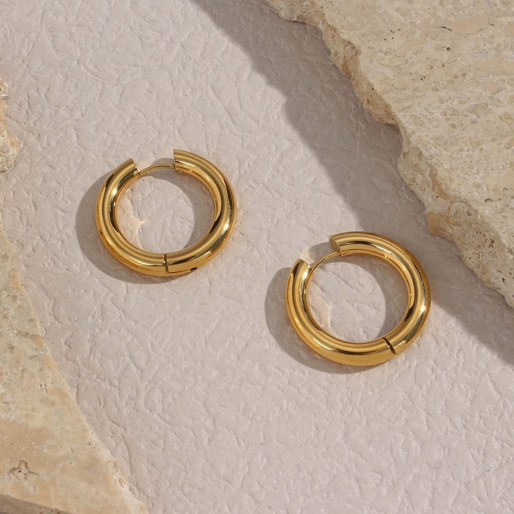 1 Pair Simple Style Round Plating Stainless Steel 18k Gold Plated Hoop Earrings display picture 6