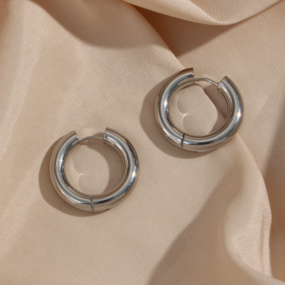 1 Pair Simple Style Round Plating Stainless Steel 18k Gold Plated Hoop Earrings display picture 8