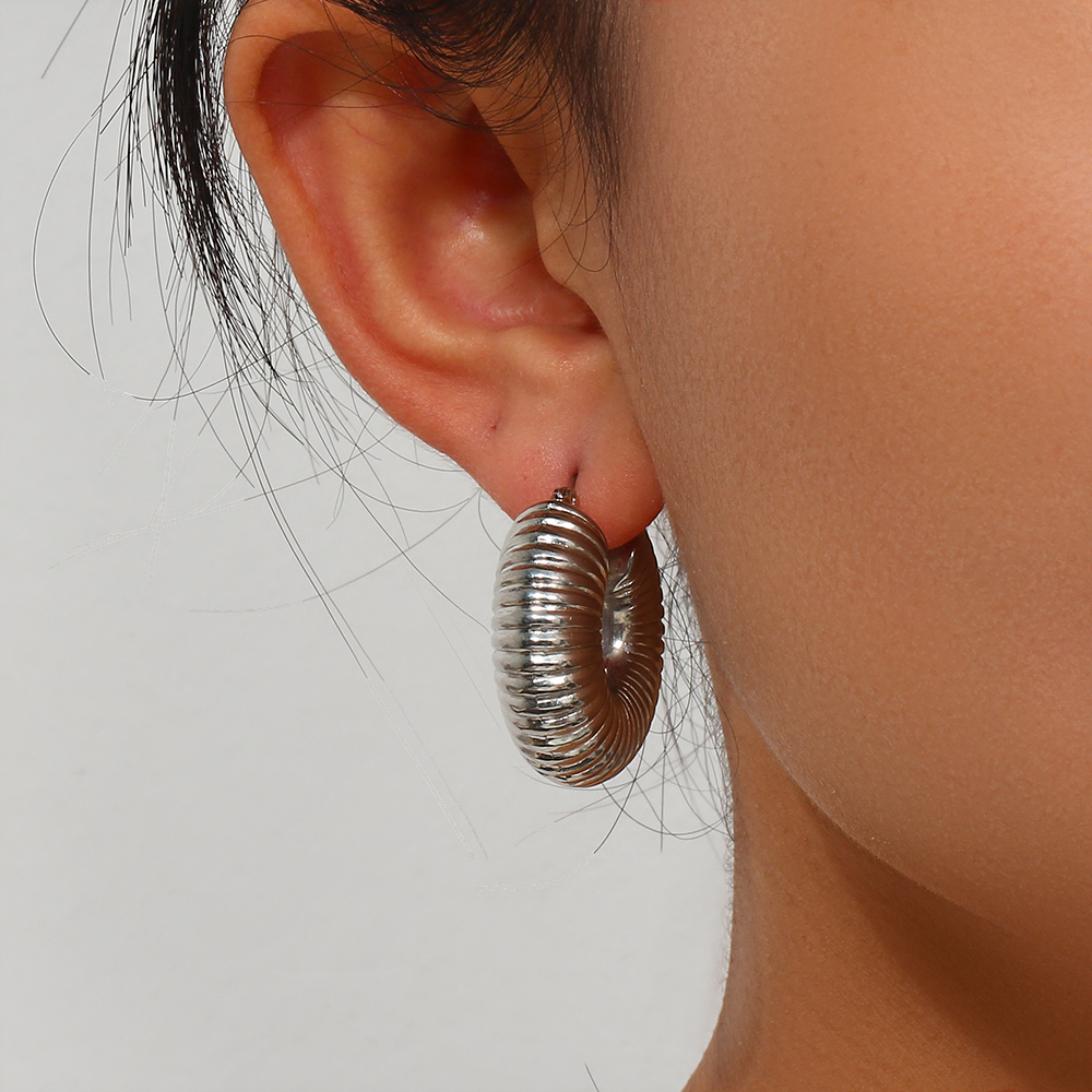1 Pair Simple Style Round Solid Color Stainless Steel Earrings display picture 8