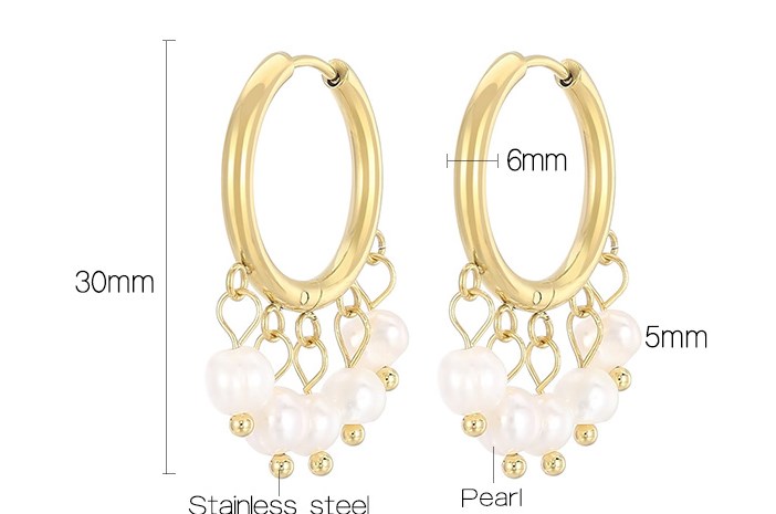 1 Pair Vintage Style French Style Round Pearl Plating Stainless Steel 18K Gold Plated Drop Earrings display picture 20