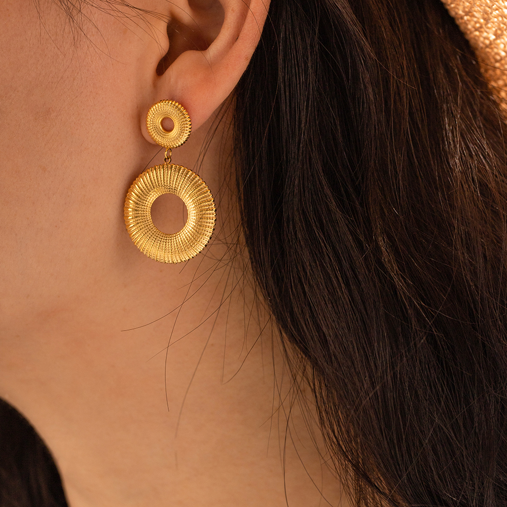 1 Pair Modern Style Round Plating Stainless Steel 18k Gold Plated Drop Earrings display picture 5