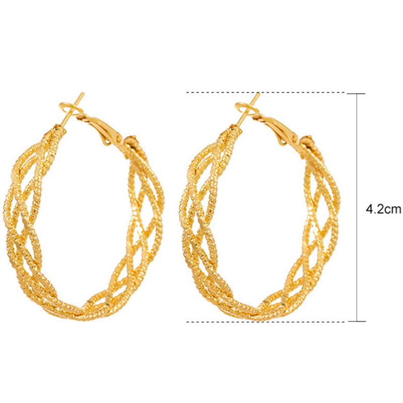 Simple Style Streetwear Solid Color Metal Copper Plating Hollow Out Inlay Zircon 18k Gold Plated Gold Plated Silver Plated Women's Earrings display picture 10