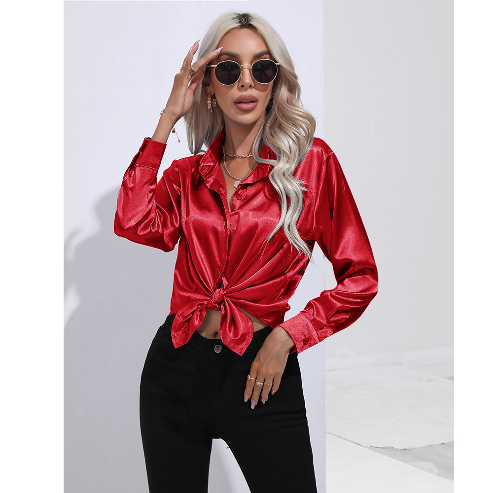 Women's Blouse Long Sleeve Blouses Patchwork Casual Solid Color display picture 27