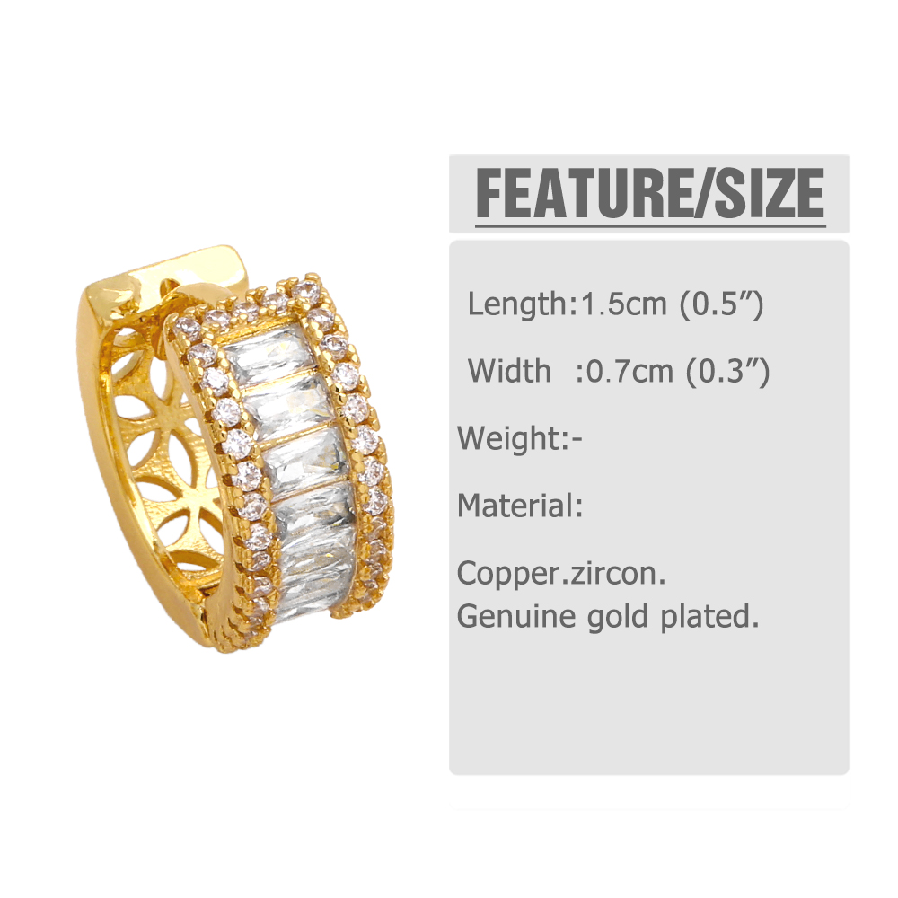 1 Pair Shiny Round Plating Inlay Copper Zircon 18k Gold Plated Hoop Earrings display picture 1