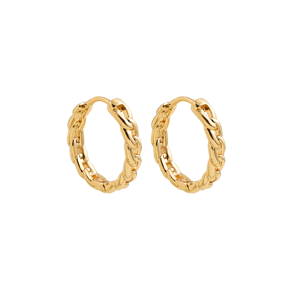 1 Pair Ig Style Simple Style Solid Color Plating Alloy Earrings display picture 5