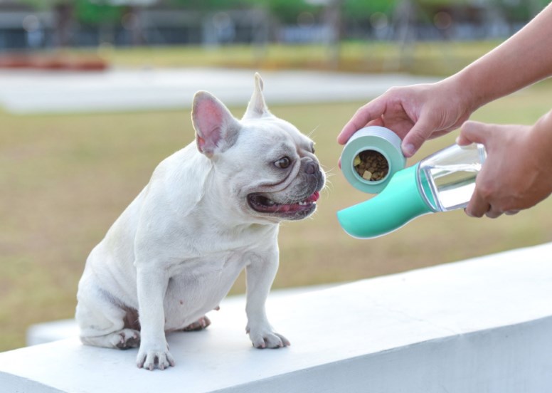 Pet Drinking Water Portable Accompanying Cup display picture 2