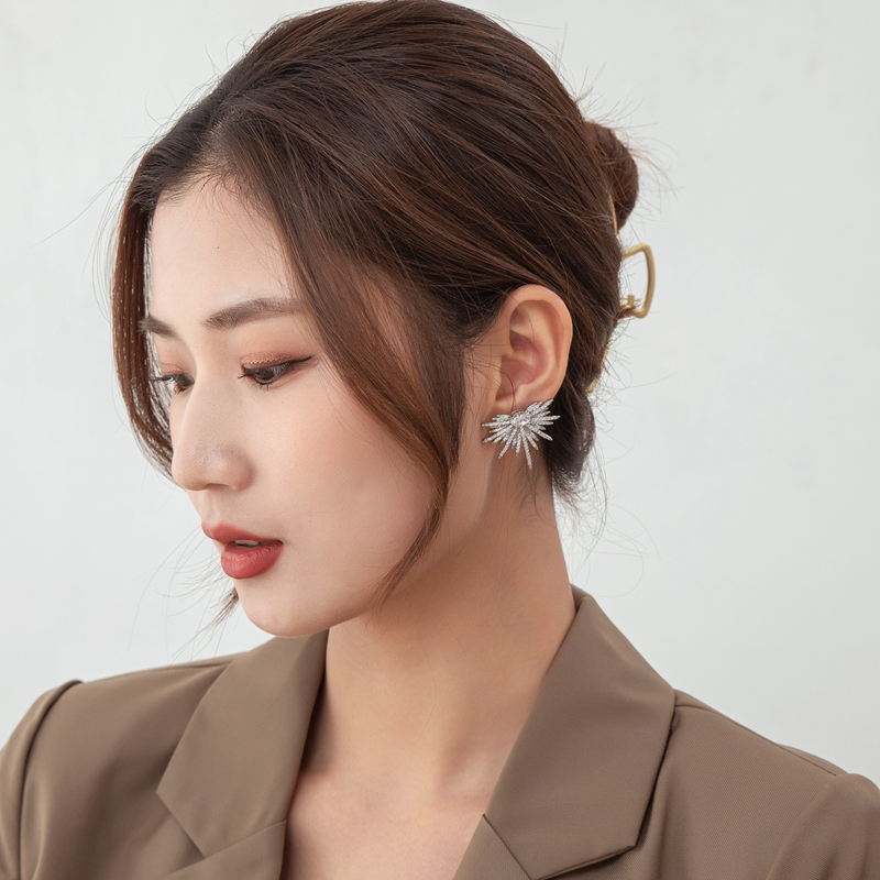 1 Pair Casual Korean Style Hexagram Inlay Alloy Zircon Ear Studs display picture 7