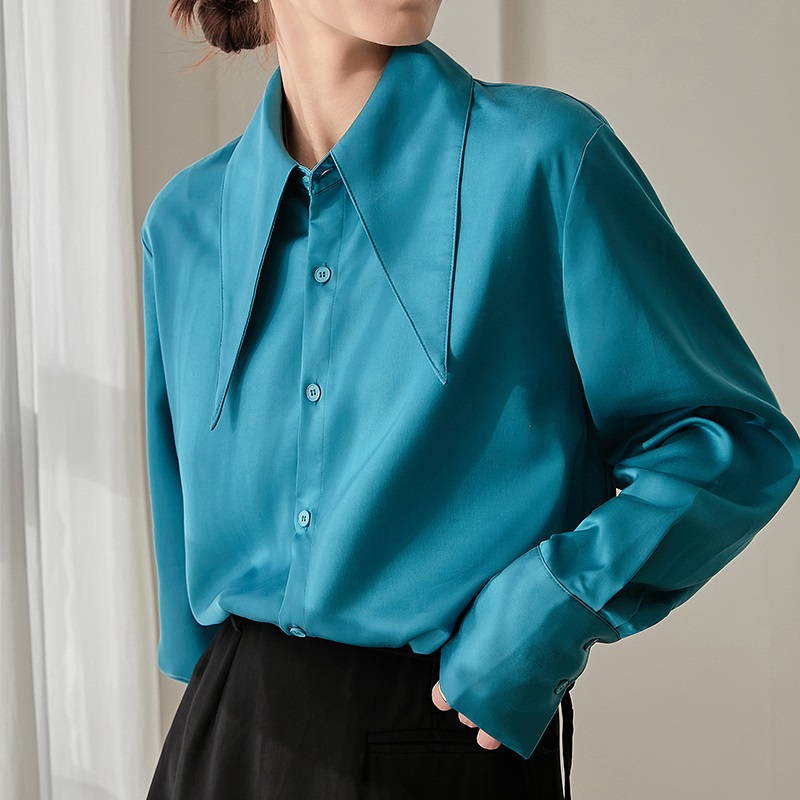 Women's Blouse Long Sleeve Blouses Button Casual Simple Style Simple Solid Color display picture 6