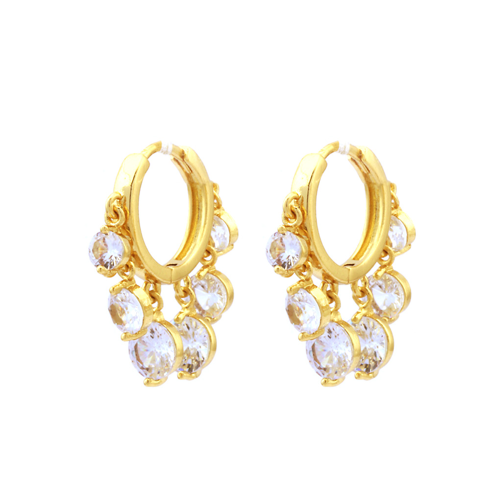 1 Paire Luxueux Brillant Rond Incruster Le Cuivre Zircon Plaqué Or 18k Des Boucles D'oreilles display picture 5