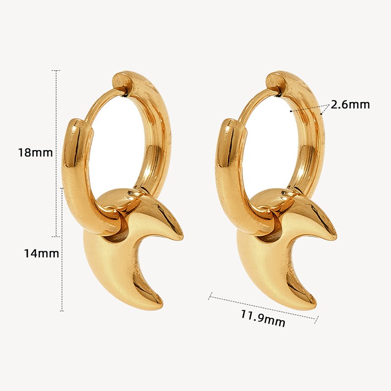 1 Pair Casual Simple Style Star Moon Heart Shape Plating 304 Stainless Steel 16K Gold Plated White Gold Plated Gold Plated Earrings display picture 3