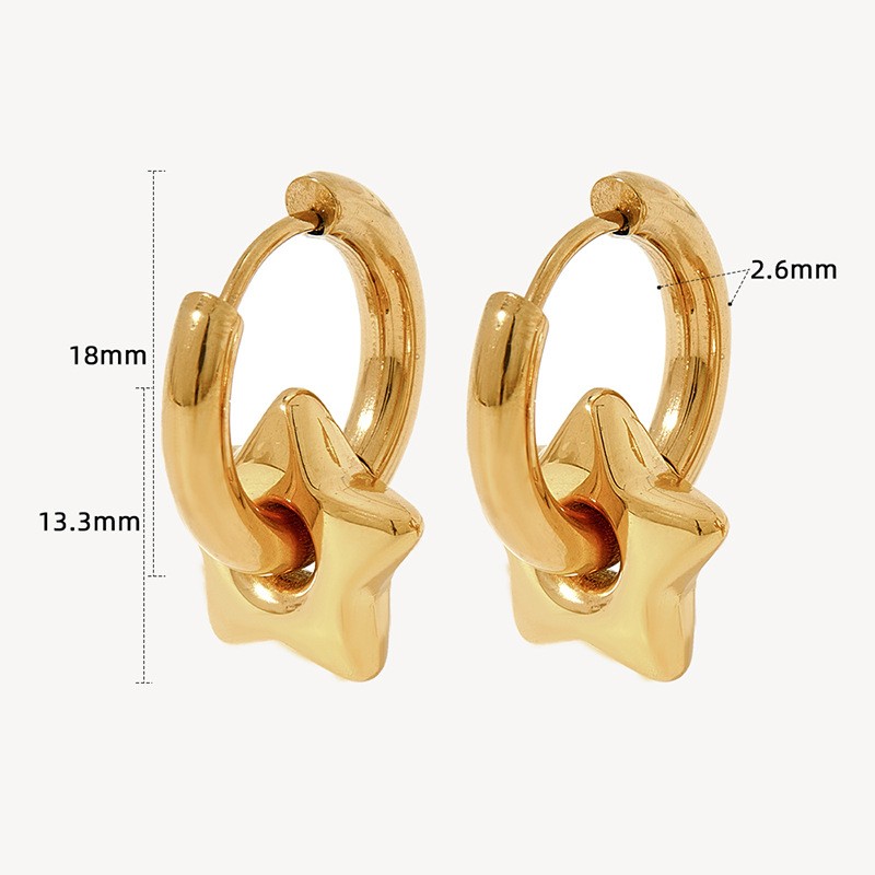 1 Pair Casual Simple Style Star Moon Heart Shape Plating 304 Stainless Steel 16K Gold Plated White Gold Plated Gold Plated Earrings display picture 5