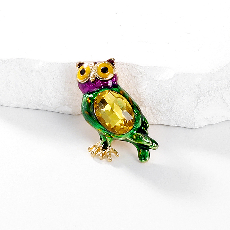 Élégant Dame Hibou Alliage Incruster Strass Verre Femmes Broches display picture 3