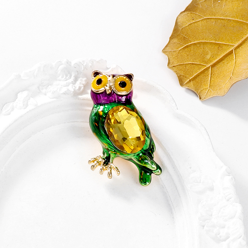 Élégant Dame Hibou Alliage Incruster Strass Verre Femmes Broches display picture 5