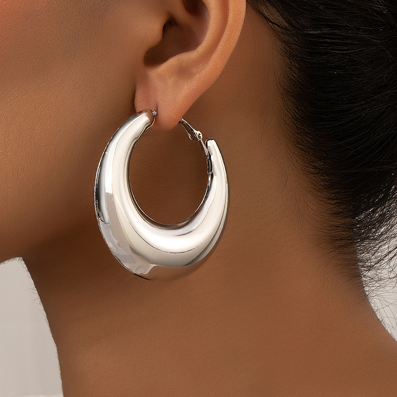 1 Pair Ig Style Simple Style Commute Round Plating Alloy Hoop Earrings display picture 11
